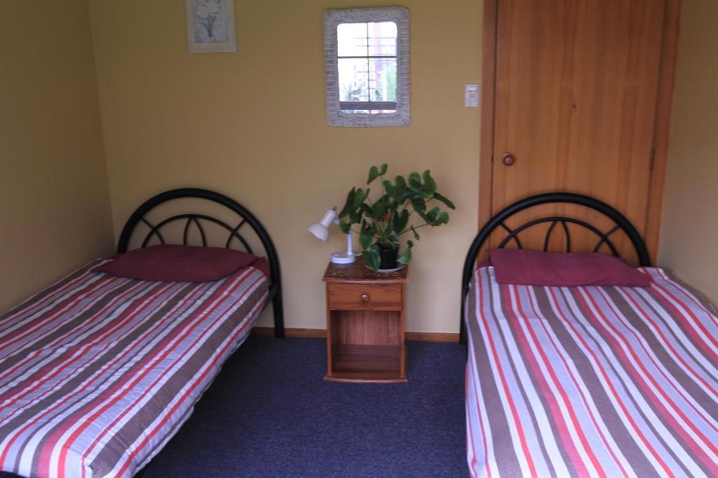 Bazil'S Backpackers Bbh Hostel & Surf School Westport Room photo